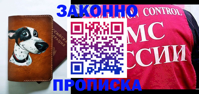 прописка 2025 в Кингисеппе